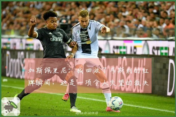 加斯佩里尼：我回放了韦斯利的红牌瞬间，这是一项令人失望的裁决